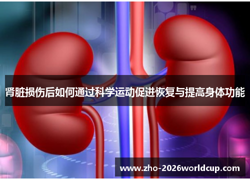 肾脏损伤后如何通过科学运动促进恢复与提高身体功能